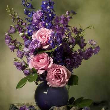 网站攻击工具手机版